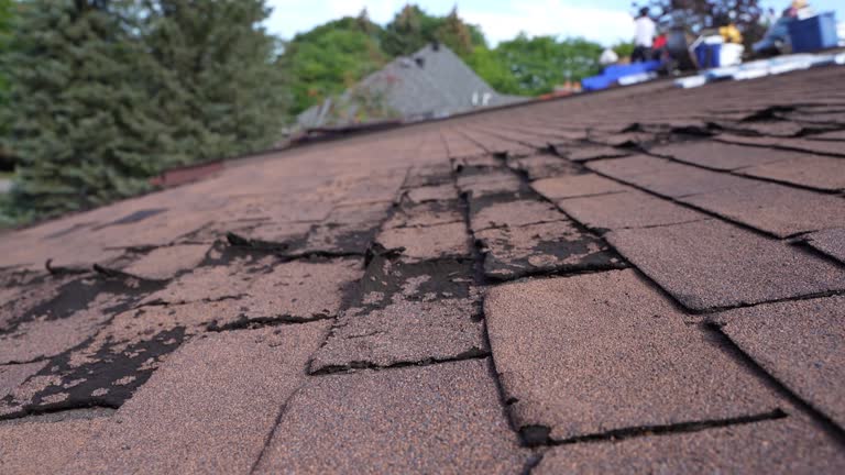 Best Roof Leak Repair  in Fort Loramie, OH