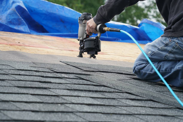 Best Roof Ventilation Installation  in Fort Loramie, OH